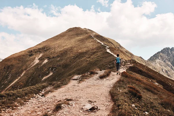 Sırt Çantalı Genç Bir Adam Dağlarda Yürüyüş Yapıyor Yaz Tatilini — Stok fotoğraf