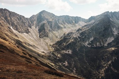Tatra Dağları manzarası. Dağlık kayalık tepeler, yamaçlar, tepeler ve vadiler çimenler, mugo çamı ve ağaçlarla kaplı.