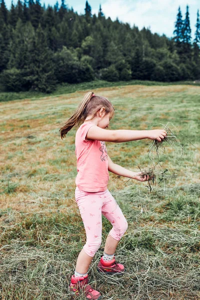 Маленькая Девочка Играет Травой Наслаждаясь Летним Днем Счастливый Ребенок Играющий — стоковое фото