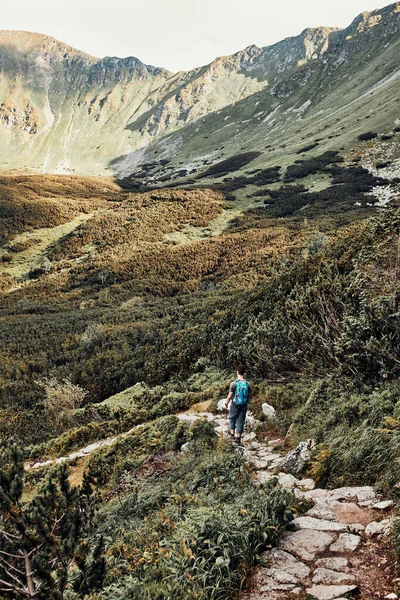 Young Man Backpack Hiking Mountains Actively Spending Summer Vacation Rear — Stock Photo, Image