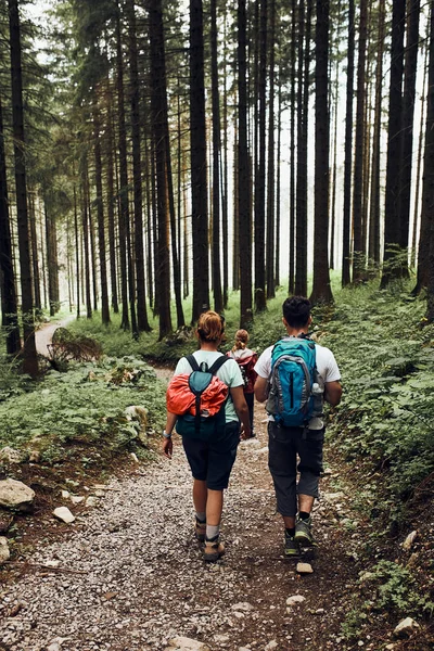Семья Рюкзаками Горах Активно Проводит Летние Каникулы Вместе Прогуливаясь Лесной — стоковое фото