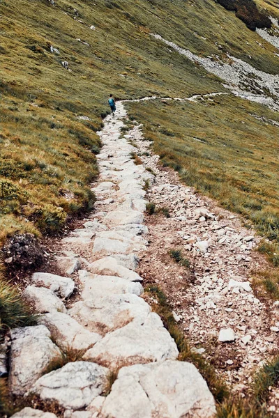 Young Man Backpack Hiking Mountains Actively Spending Summer Vacation Rear — Stock Photo, Image