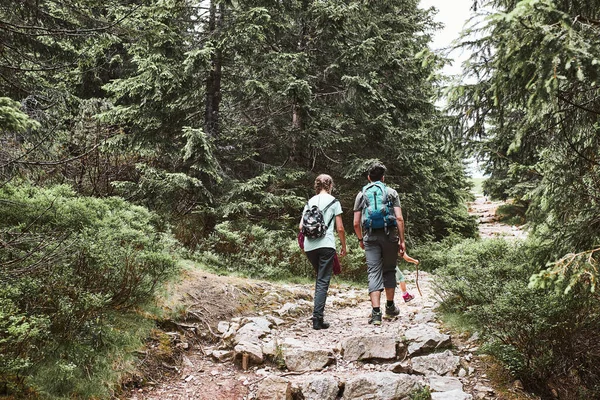 Sırt Çantalı Bir Aile Dağlarda Yürüyüş Yapıyor Yaz Tatilini Birlikte — Stok fotoğraf