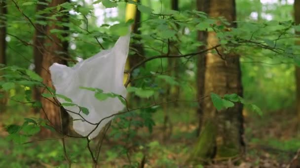 Plastic Zak Achtergelaten Het Bos Kunststofvervuiling Onverantwoordelijkheid Voor Het Milieu — Stockvideo
