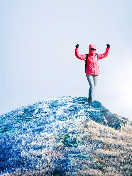 Woman at the top of mountain — Stock Photo, Image