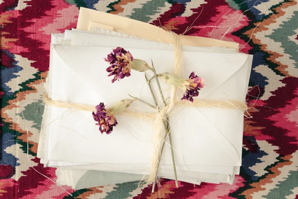 Beni geri götür. mektuplar, Fotoğraflar ve pörsümüş fl gizli anıları