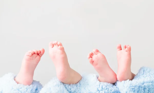 Babies feet lying on blanket — Stock Photo, Image