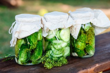 Ev bahçe sebze ve otlar ile yapılan salatalık turşusu