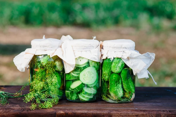 Gepekelde komkommers gemaakt met huis tuin groenten en kruiden — Stockfoto