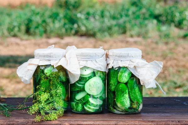 Gepekelde komkommers gemaakt met huis tuin groenten en kruiden — Stockfoto