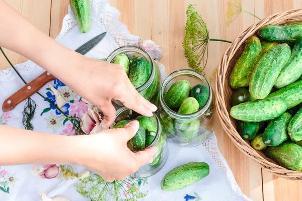 Pickling cucumbers with home garden vegetables and herbs — Stock Photo, Image