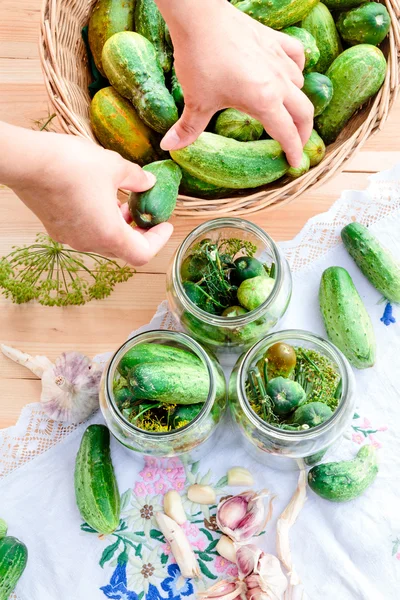 Gurken mit Gemüse und Kräutern aus dem heimischen Garten einlegen — Stockfoto