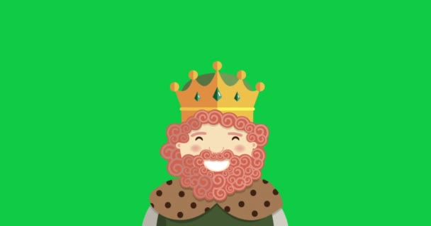 Three Kings Smiling Foreground Video Christmas Animation Green Background — Stock Video