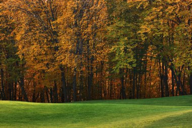 Yeşil çimlerle ve sonbahar ormanlarıyla bezenmiş.