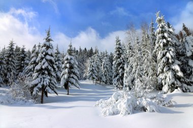 Karpatya dağlarında beyaz kar ve mavi gökyüzü.