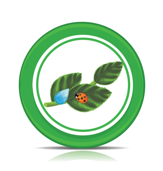 Eco green leaf icon — Stock Vector