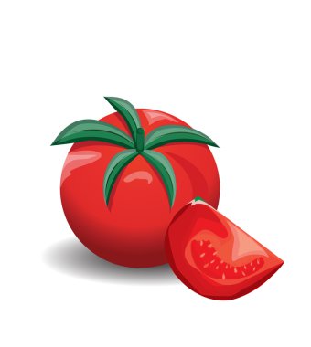 domates vektör