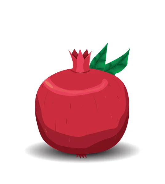 Pomegranate vector — Stock Vector