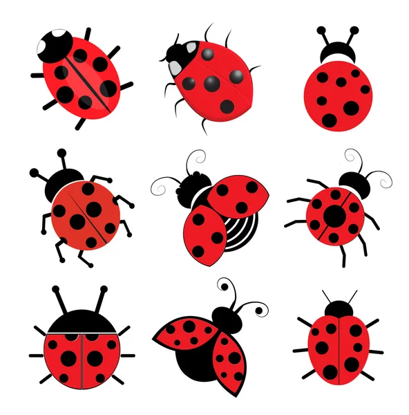 Coccinelles — Image vectorielle