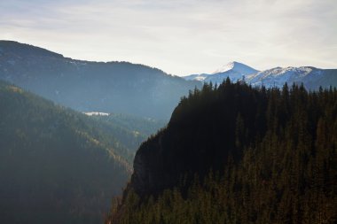 dağ manzarası ile ağaç orman