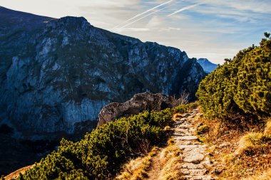 Karlı dağ manzarası taşlarla