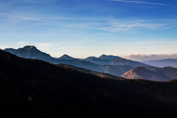 与树森林山风景 — 图库照片