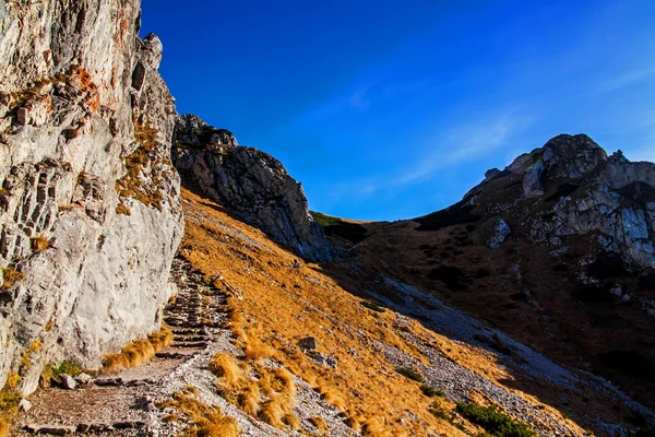 Paesaggio montano con sentiero roccioso — Foto Stock