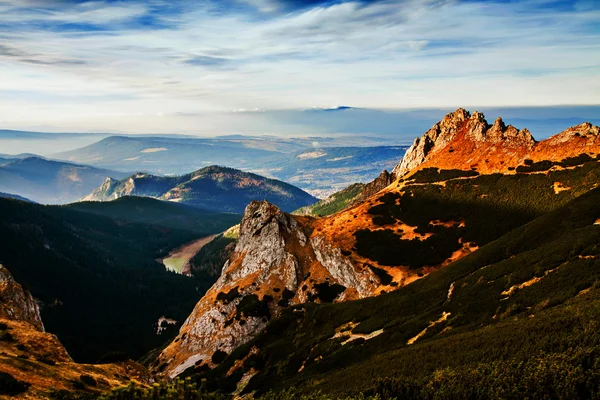 Paesaggio montano con foresta arborea — Foto Stock