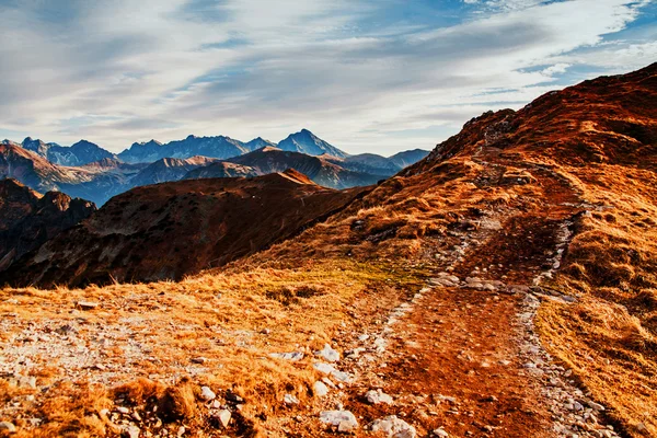 Berglandskap med rock sökväg — Stockfoto