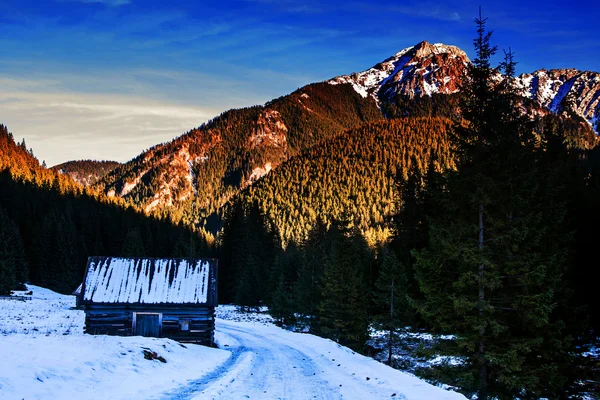 Besneeuwde bergwereld met houten huis — Stockfoto