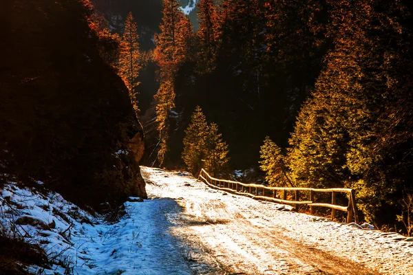 Schneelandschaft im Wald mit Brücke — Stockfoto