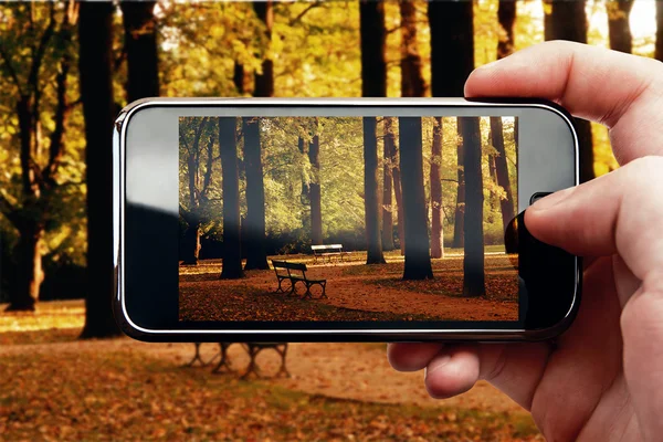 Chytrý telefon mobilní fotografie v parku — Stock fotografie