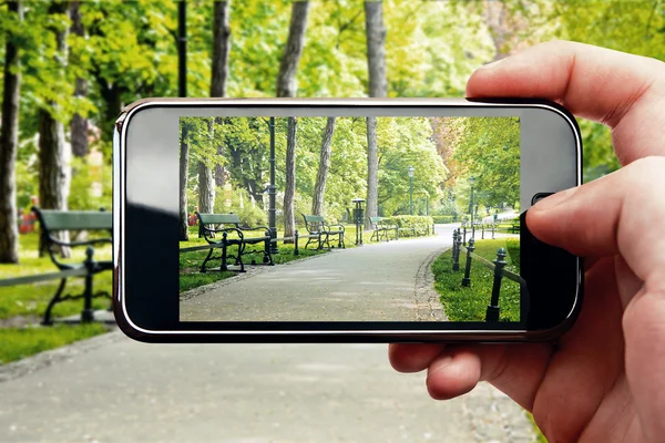 Smart phone mobile photo in park — Stock Photo, Image