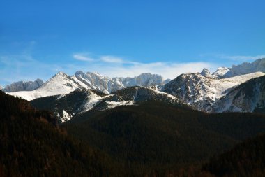 Dağ karlı manzara ufuk