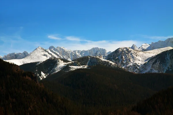 Schneebedeckter Berghorizont — Stockfoto