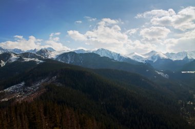 Karlı dağ manzarası ile orman