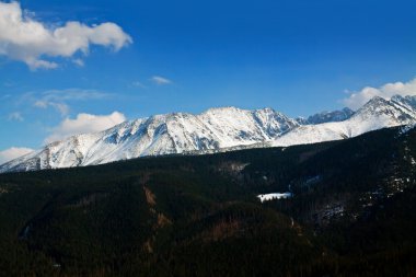 Karlı dağ manzarası ile orman