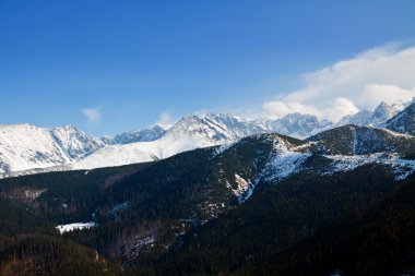 Karlı dağ manzarası ile orman