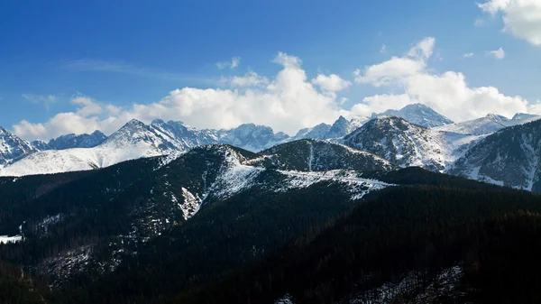 Mountain snöiga landskap med skog — Stockfoto