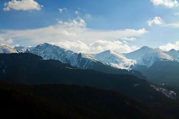 Besneeuwde berglandschap met bos — Stockfoto