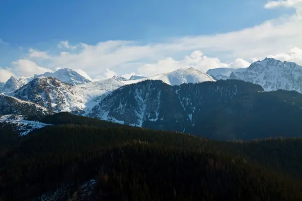 山雪景观与森林 — 图库照片