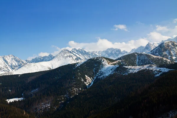 Karlı dağ manzarası ile orman — Stok fotoğraf