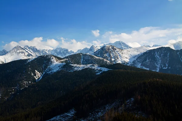 Mountain snöiga landskap med skog — Stockfoto