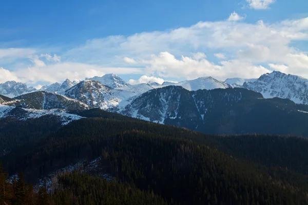 Besneeuwde berglandschap met bos — Stockfoto