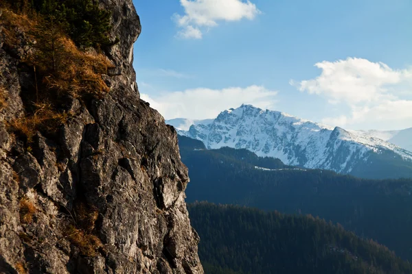 Besneeuwde bergwereld met rock — Stockfoto