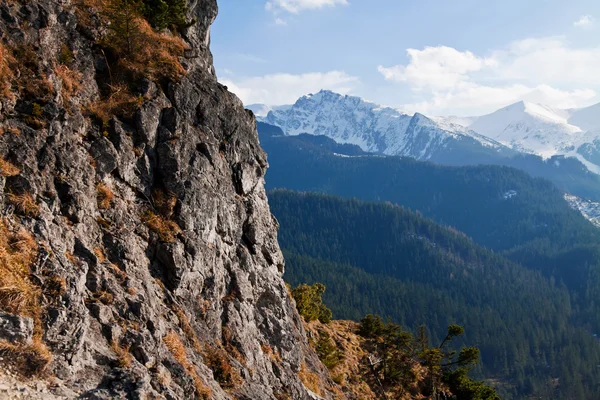 Besneeuwde bergwereld met rock — Stockfoto