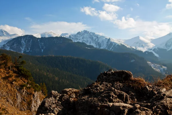 Karlı dağ manzarası ile rock — Stok fotoğraf