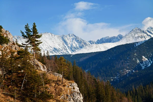 Besneeuwde bergwereld met rock — Stockfoto