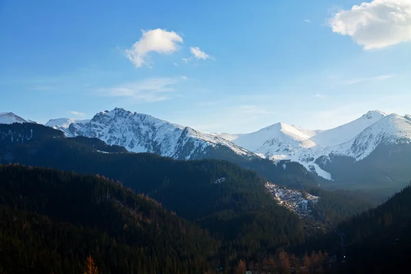 Karlı dağ manzarası ile orman — Stok fotoğraf