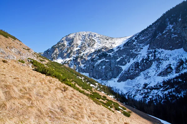 Montaña nevado paisaje con roca —  Fotos de Stock